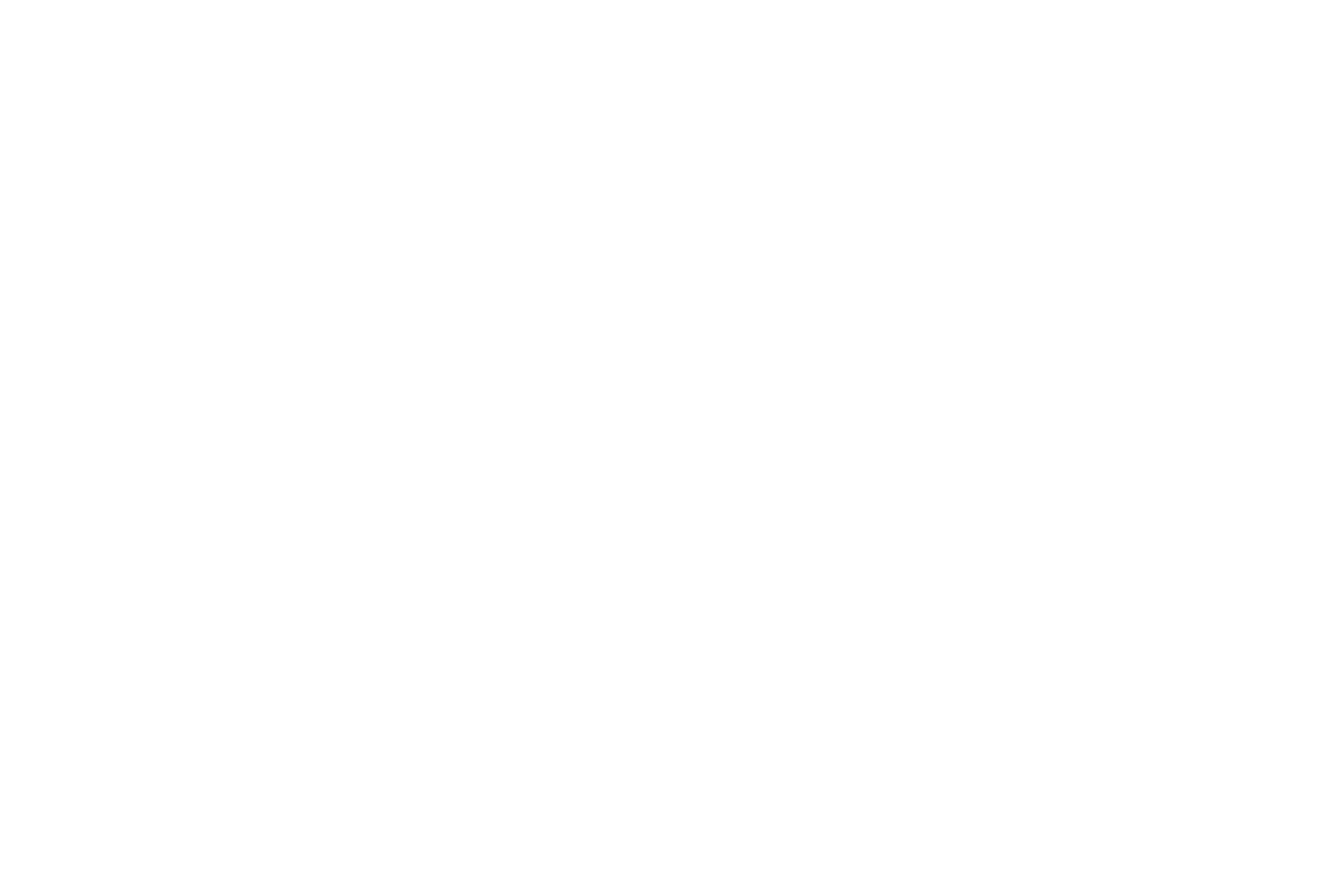 White logo - no background